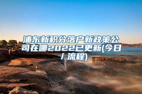 浦东新积分落户新政策公司在哪2022已更新(今日／流程)