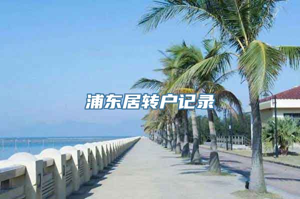 浦东居转户记录