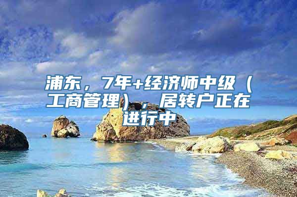 浦东，7年+经济师中级（工商管理），居转户正在进行中