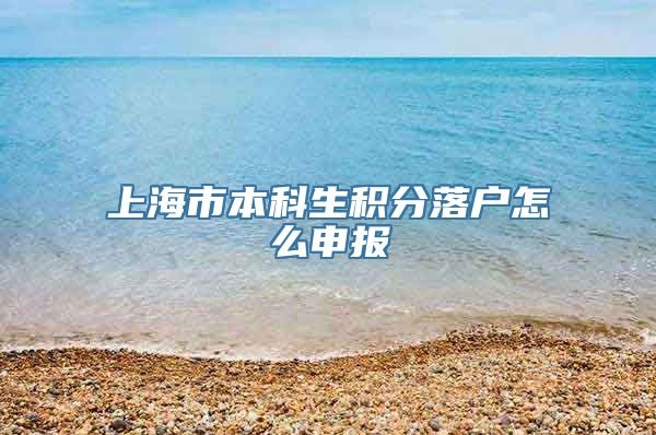 上海市本科生积分落户怎么申报