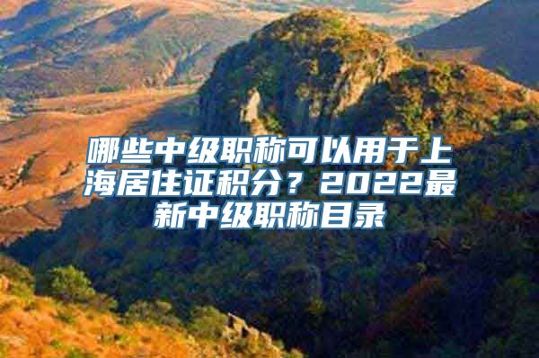 哪些中级职称可以用于上海居住证积分？2022最新中级职称目录