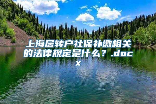 上海居转户社保补缴相关的法律规定是什么？.docx