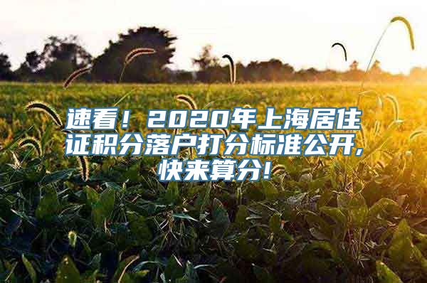 速看！2020年上海居住证积分落户打分标准公开,快来算分!