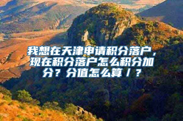 我想在天津申请积分落户，现在积分落户怎么积分加分？分值怎么算／？