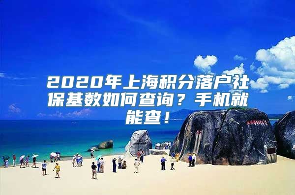 2020年上海积分落户社保基数如何查询？手机就能查！