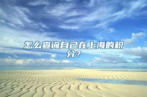 怎么查询自己在上海的积分？