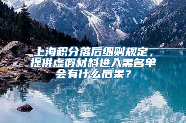 上海积分落后细则规定，提供虚假材料进入黑名单会有什么后果？