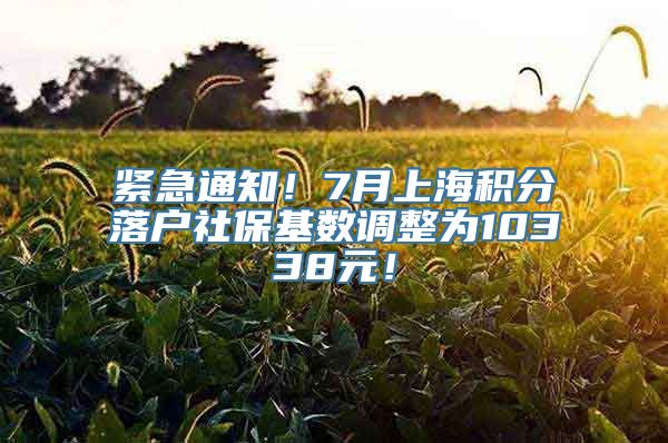 紧急通知！7月上海积分落户社保基数调整为10338元！