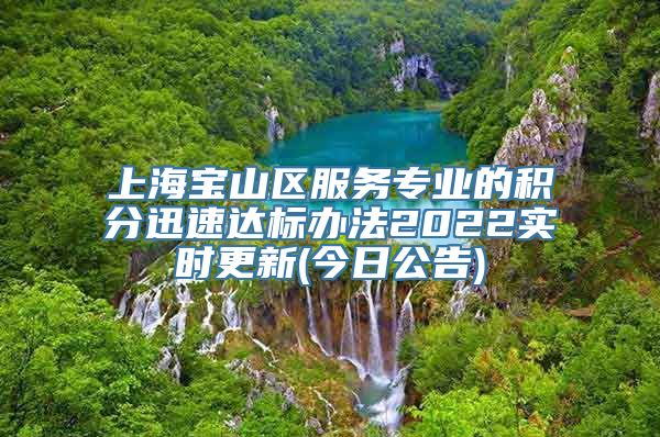 上海宝山区服务专业的积分迅速达标办法2022实时更新(今日公告)