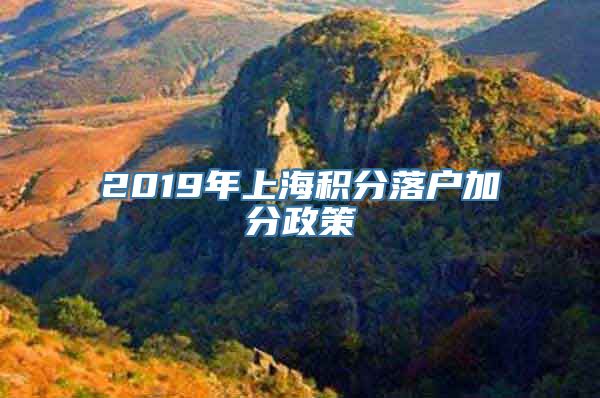 2019年上海积分落户加分政策