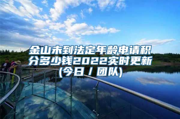 金山未到法定年龄申请积分多少钱2022实时更新(今日／团队)