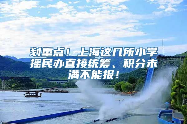 划重点！上海这几所小学摇民办直接统筹、积分未满不能报！