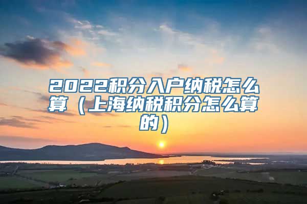 2022积分入户纳税怎么算（上海纳税积分怎么算的）