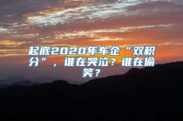 起底2020年车企“双积分”，谁在哭泣？谁在偷笑？