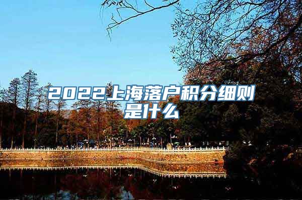 2022上海落户积分细则是什么