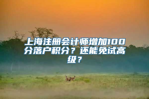 上海注册会计师增加100分落户积分？还能免试高级？