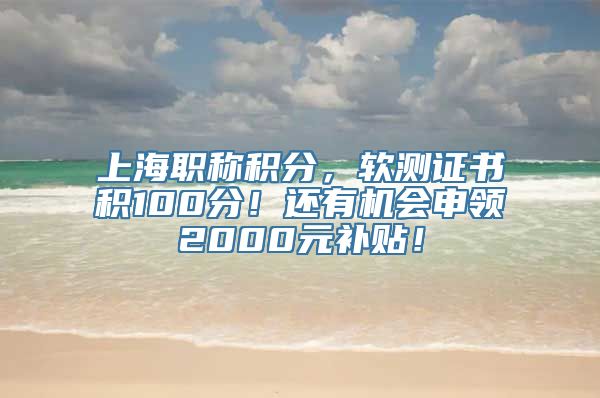 上海职称积分，软测证书积100分！还有机会申领2000元补贴！